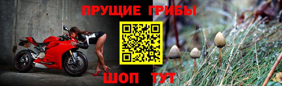 Псилоцибиновые грибы Magic Shrooms  Вход с VPN  Галлюциногенные грибы ЛСД  Астрахань 