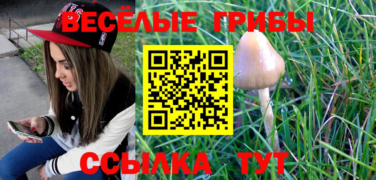 Псилоцибиновые грибы Magic Shrooms Астрахань