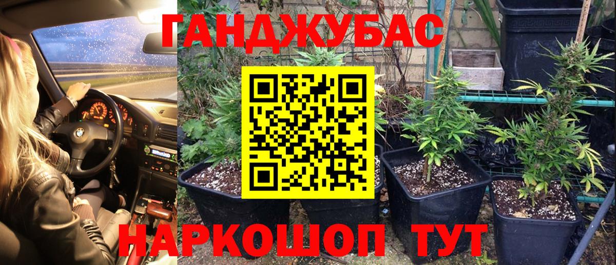 Марихуана сатива  Канабис OG Kush  Астрахань  Вход с VPN  Шишки марихуана ГИДРОПОН  Шишки марихуана THC 21% 